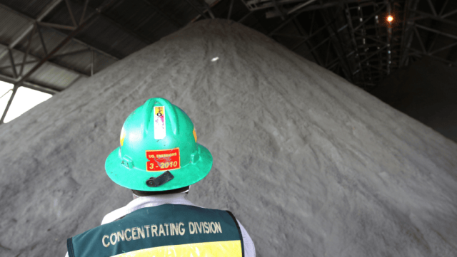 image-20250220082646